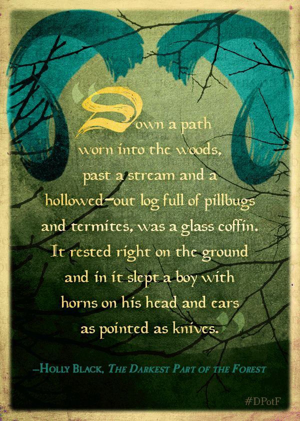 holly-black-random-quotes